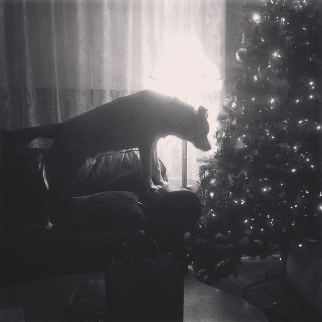 10406939_10152514589815918_1949842694595031396_n