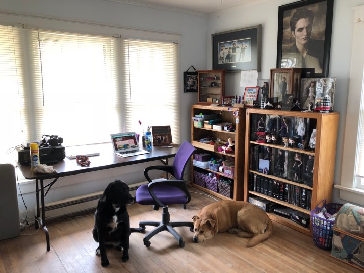 gdzkkW3wRJeo2WhKeUEWdw