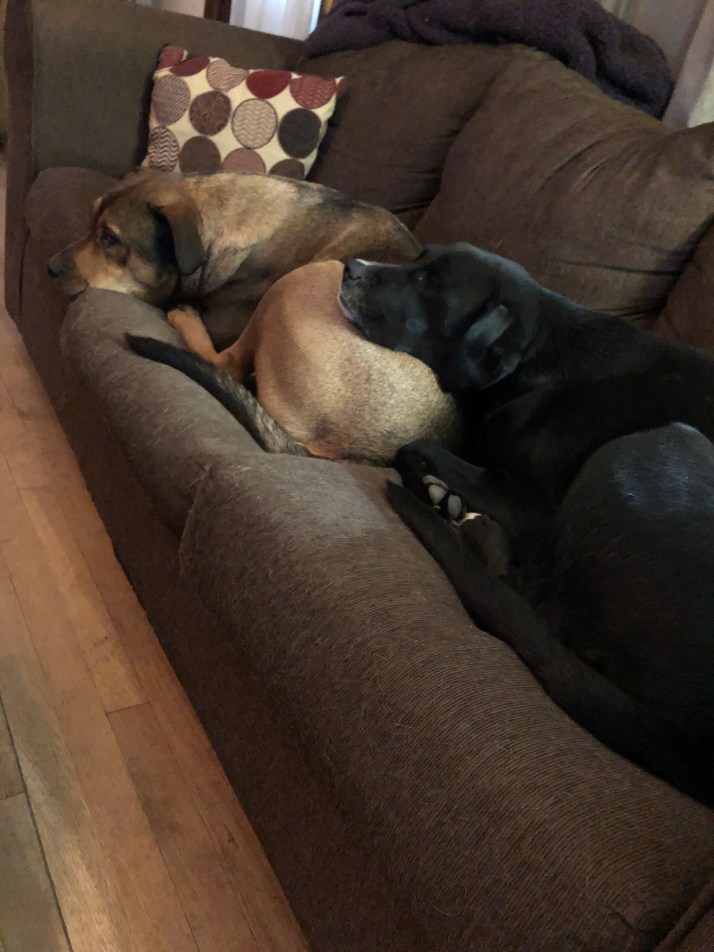 U8VX%Y9HQ+ydARDEWqCodw