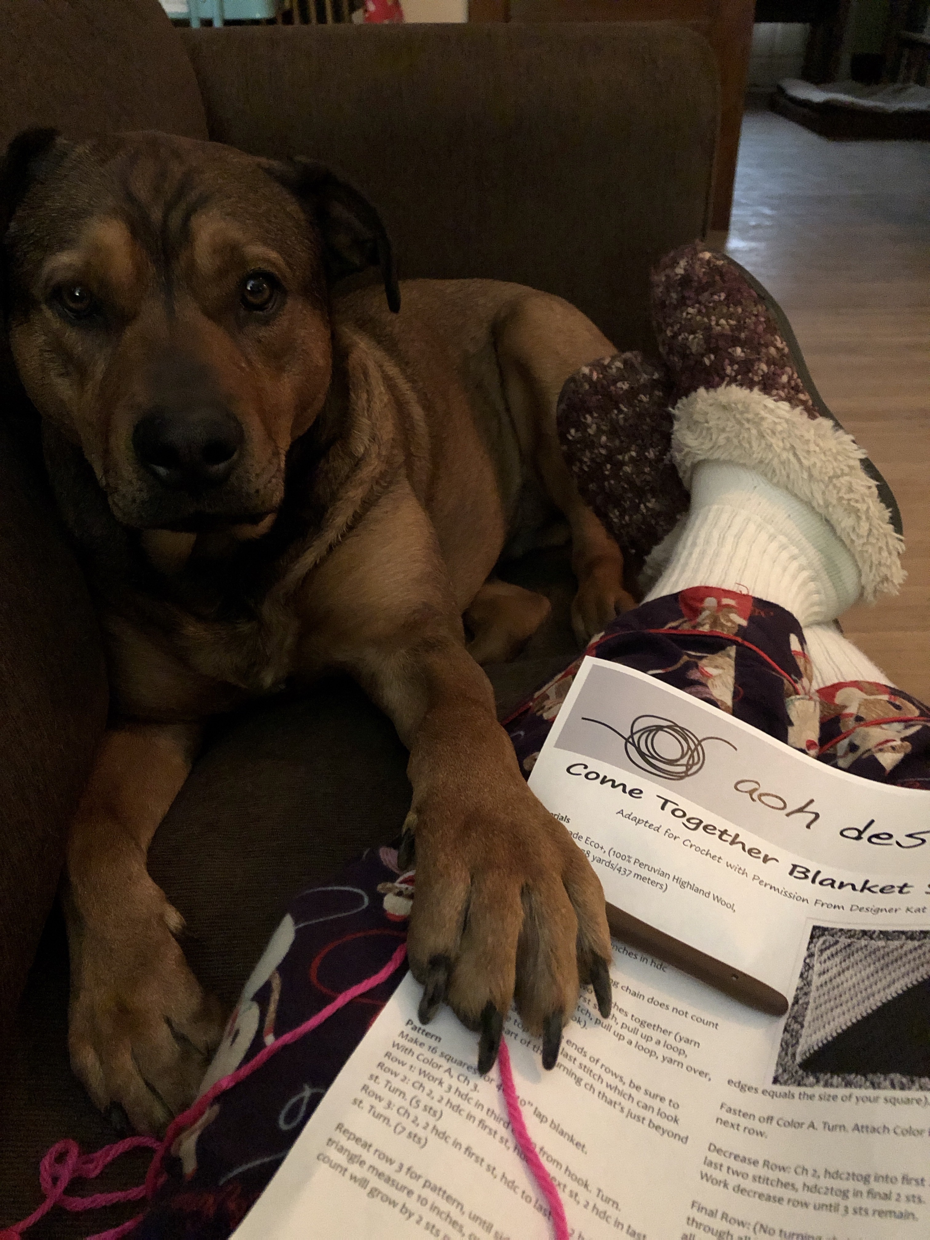 78954d0f-e3ec-4066-a299-02c71f0f2381