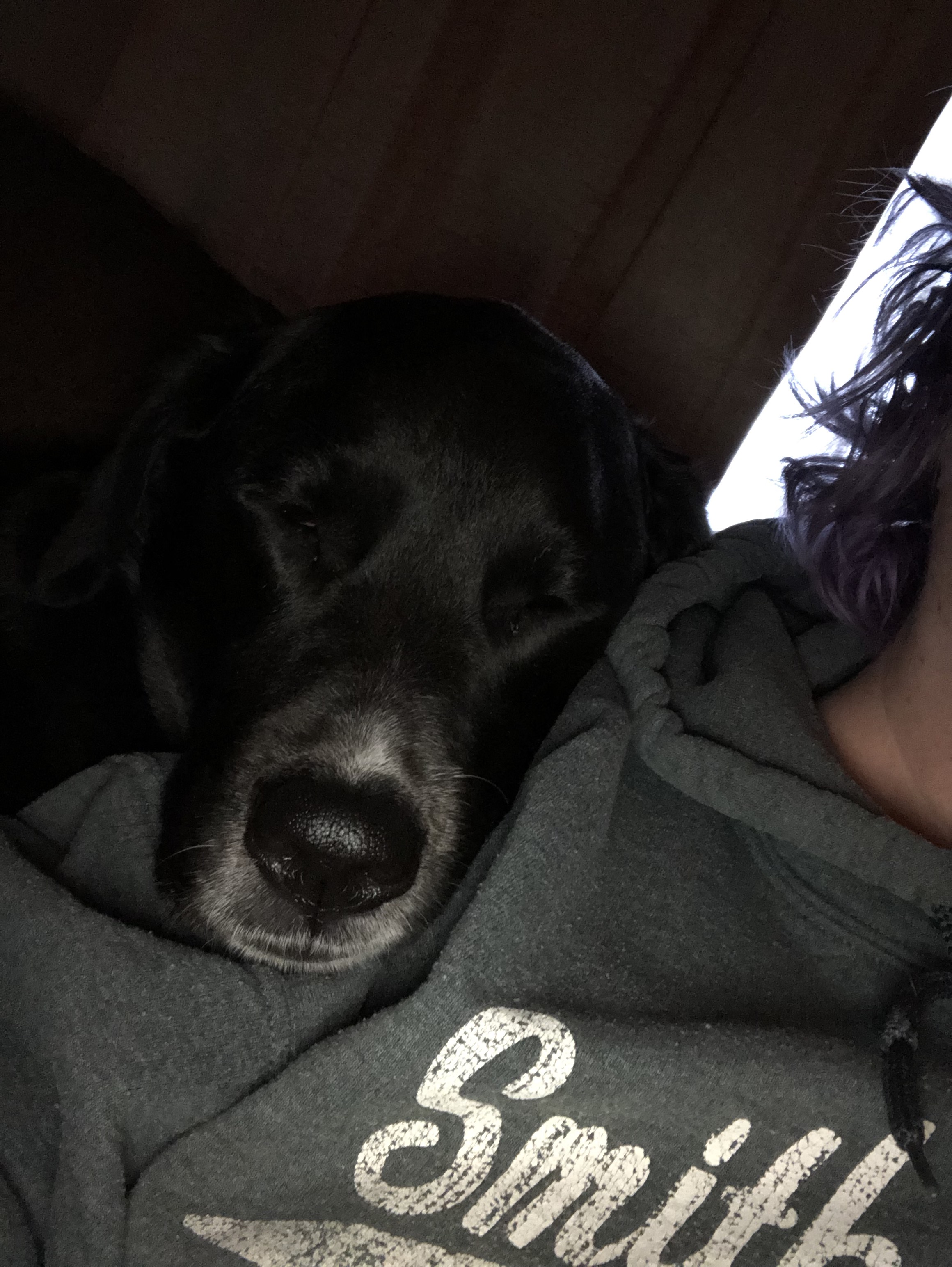 zg3ntx2QRDid72hcC0%WLQ