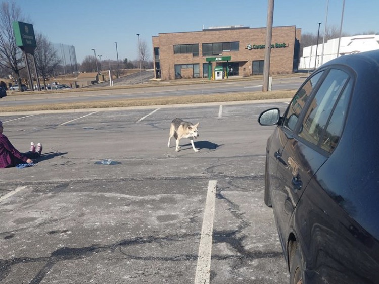 816E5054-E6C9-4D4D-843B-710F149F85FD_1_201_a