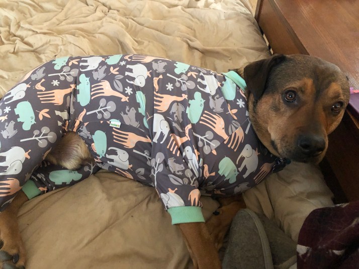 B3030694-9569-4A41-A412-599EDB8FE1DB