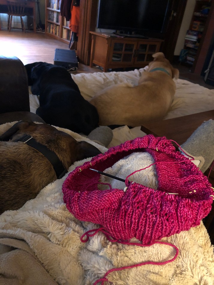 30E4D272-484E-498F-BAF9-2989418C7400