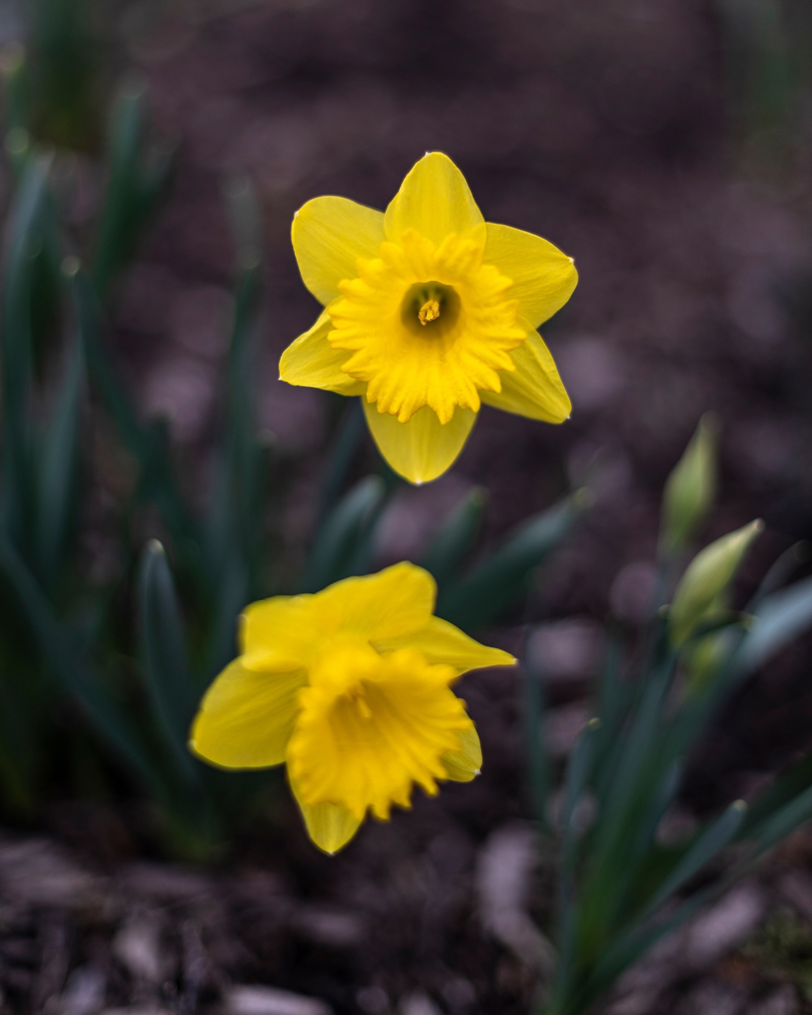 8A540AFD-9D57-48F3-8171-38CCCE195B7C