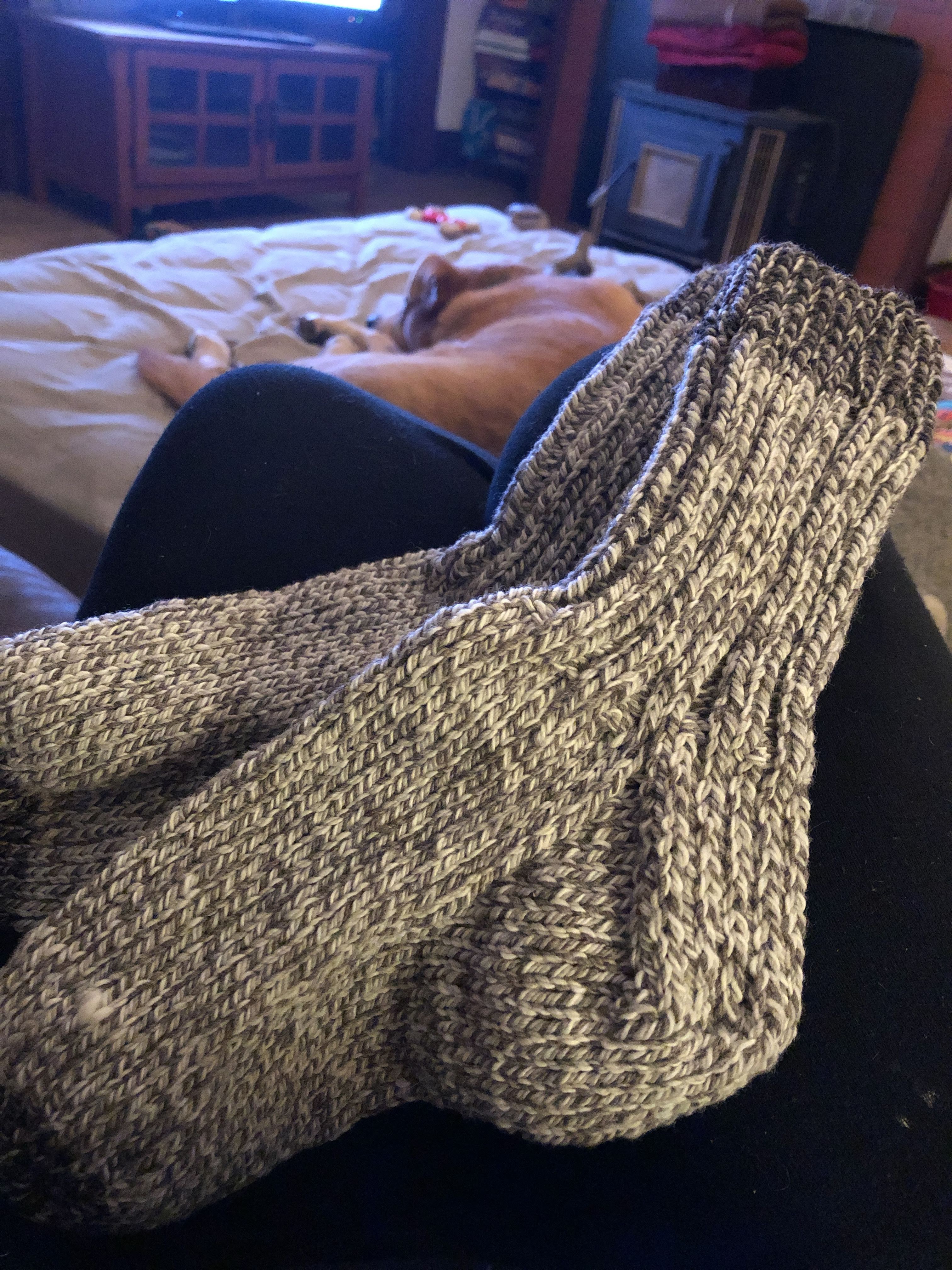 fe71bc31-6ea1-4a8b-83fc-37152d2553e6