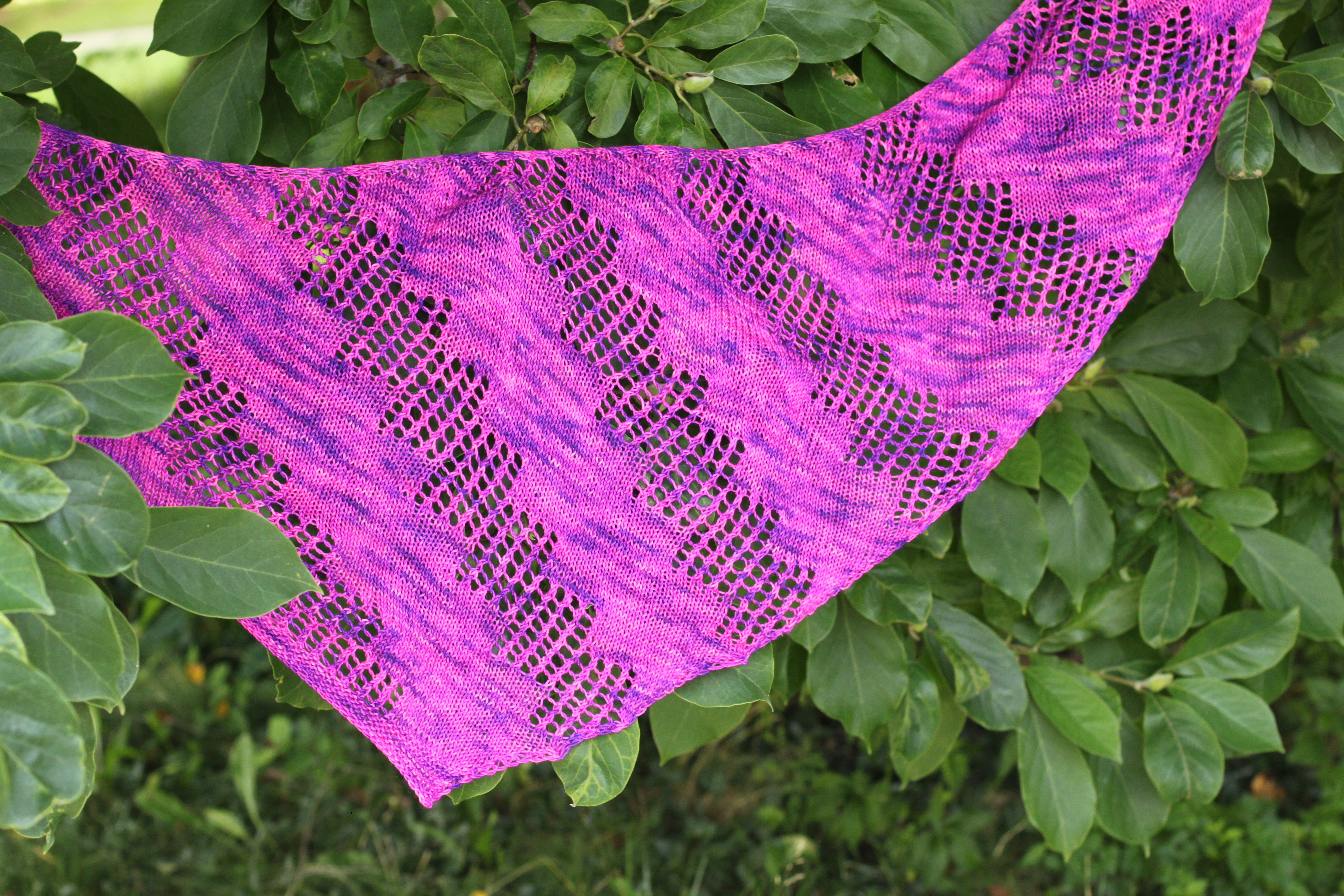 0F52E8A9-C80B-4454-80F3-BC5BC3714482