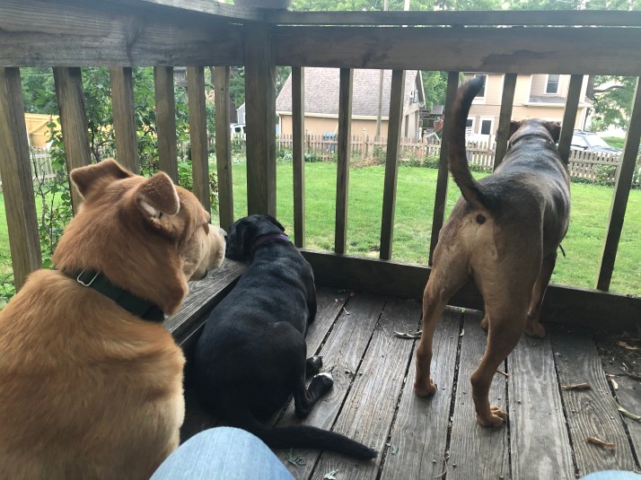 3BAE9EBD-39DC-4032-9426-563C0E2102DF