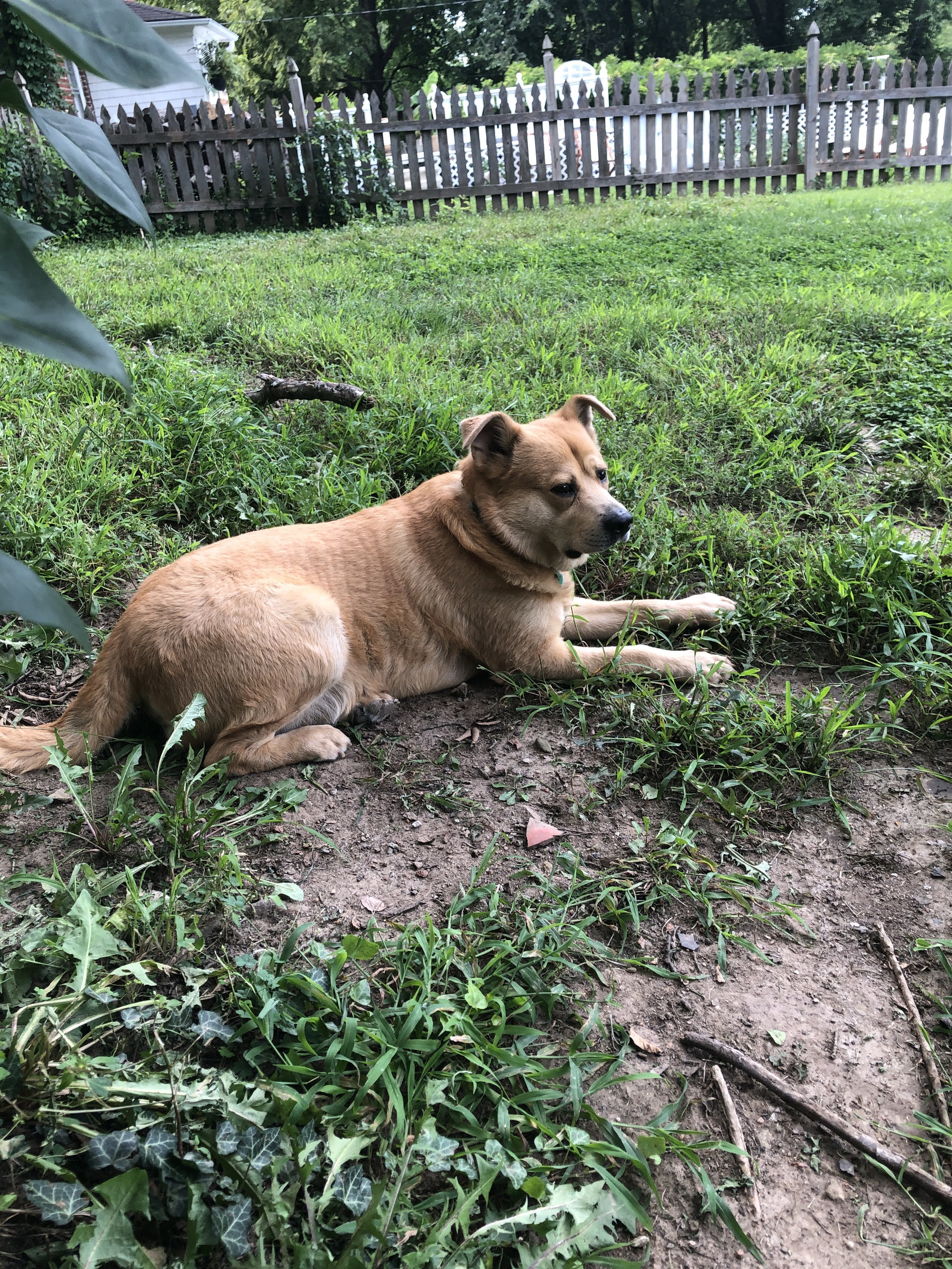 61827260952__b4b76fbf-8db7-493d-8c82-5980dc6c895d